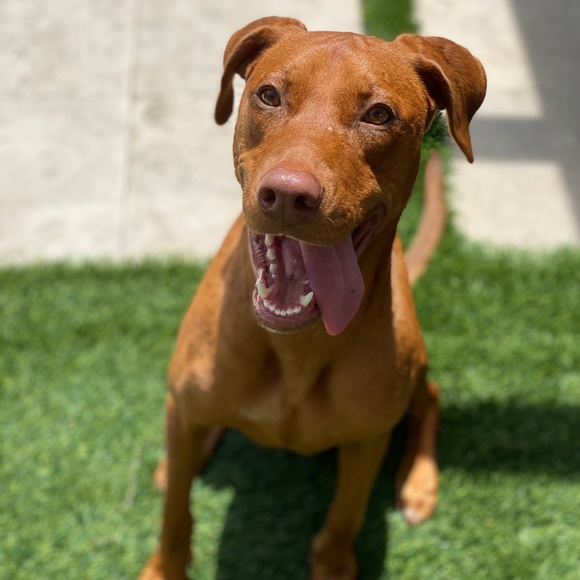 Hiii!! 🥰🌸❤️ - Picture 12 of 12